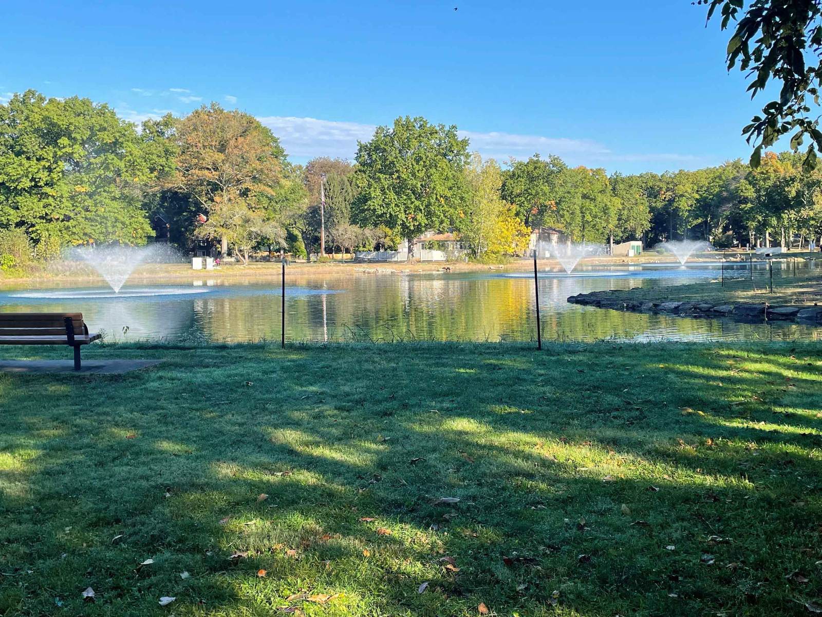 Wild Duck Pond